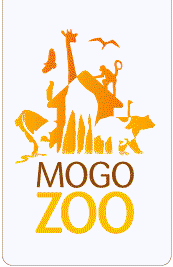 Mogo Zoo - Sydney Tourism 0