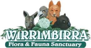 Wirrimbirra Sanctuary - Sydney Tourism 0