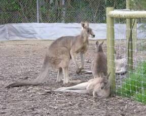 Barwon Heads VIC Sydney Tourism