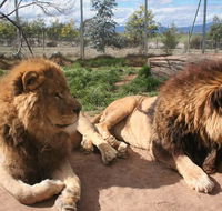 Mansfield Zoo