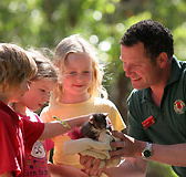 Cleland Wildlife Park - Sydney Tourism