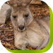 Calmsley Hill City Farm - Sydney Tourism 0