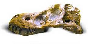 Australia Walkabout Wildlife Park - Sydney Tourism 2