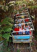 Scenic World Blue Mountains - Sydney Tourism 2