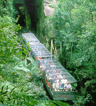 Scenic World Blue Mountains - Sydney Tourism 3