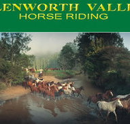 Glenworth Valley Horseriding - Sydney Tourism