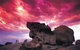 Kangaroo Island Adventure Tour 2 Day/1 Night - thumb 0
