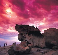 Kangaroo Island Adventure Tour 2 day/1 night - Sydney Tourism