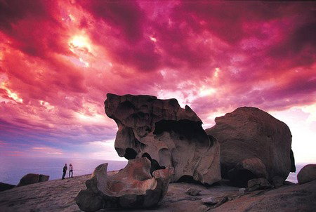 Kangaroo Island Adventure Tour 2 Day/1 Night - Sydney Tourism 0