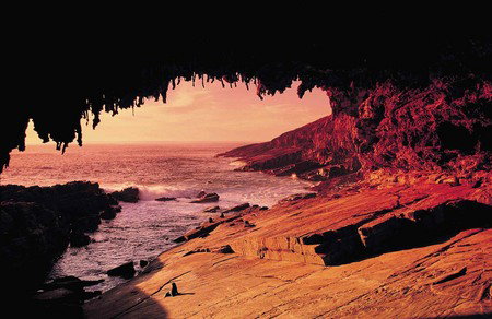 Kangaroo Island Adventure Tour 2 Day/1 Night - Sydney Tourism 2