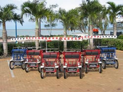 Beach Safaris - Sydney Tourism 1