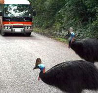 Kookaburra Tours - Sydney Tourism