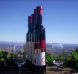 Mount Tamborine Winery  Homestead - Sydney Tourism