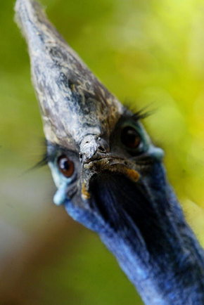 Symbio Wildlife Gardens - Sydney Tourism 2