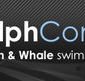 Dolphcom - Dolphin  Whale Swimming Adventures
