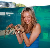 Crocosaurus Cove - Sydney Tourism