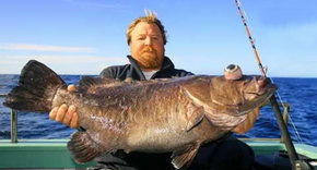 Bravo Fishing Charters - Sydney Tourism 0