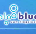 Ningaloo Blue Dive