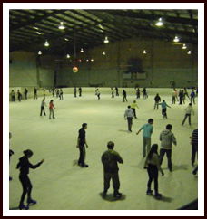 Bendigo Ice Stadium - Sydney Tourism 1