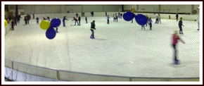 Bendigo Ice Stadium - Sydney Tourism 2