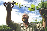 Barossa Valley SA Sydney Tourism