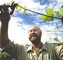 Barossa Experience Tours - Sydney Tourism