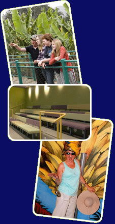 Big Banana - Sydney Tourism 2