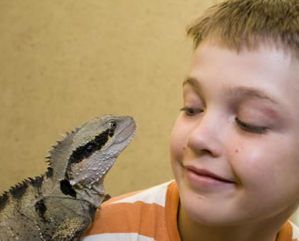 Geckoes Wildlife Presentations - Sydney Tourism 2