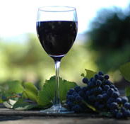 Lion Mill Vineyards