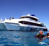 Silver Swift - Sydney Tourism