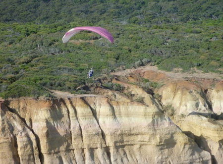 Airsports Adventure Flights - Sydney Tourism 2