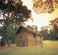 Heysen - The Cedars - Sydney Tourism