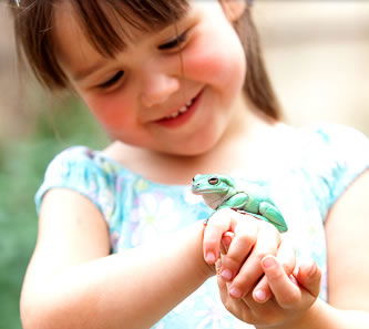 Reptile Encounters - Sydney Tourism 1