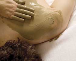Alkaline Spa & Clinic - Sydney Tourism 2