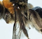 Western Australian Museum - Sydney Tourism