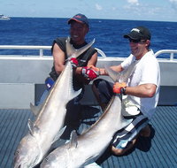 Blue Juice Charters - Sydney Tourism