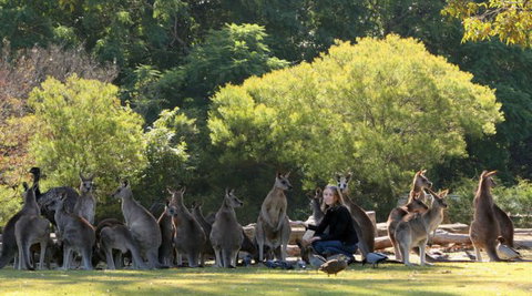 Lone Pine Koala Sanctuary - Sydney Tourism 1