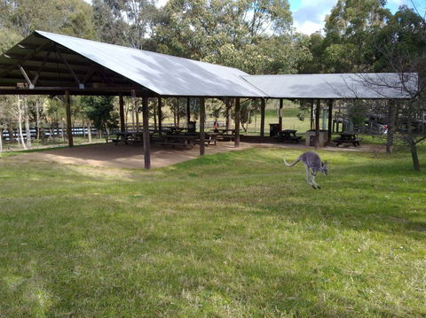 Calmsley Hill City Farm - Sydney Tourism 5