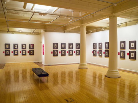 Cairns Regional Gallery - Sydney Tourism 2