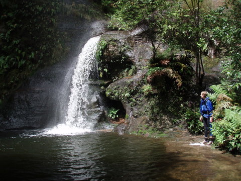 Blue Mountains Adventure Company - Sydney Tourism 1