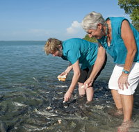 Aquascene Fish Feeding Sanctuary - Sydney Tourism