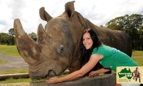 Australia Zoo - Sydney Tourism 8