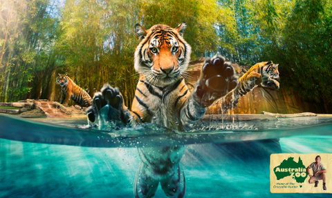 Australia Zoo - Sydney Tourism 9