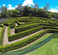 Bellingham Maze - Sydney Tourism