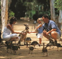Billabong Sanctuary - Sydney Tourism