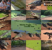 The Malcolm Douglas Crocodile Park