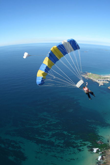 Skydive The Beach - Sydney Tourism 2