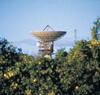 Big Dish - Sydney Tourism