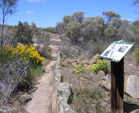 Christmas Rock Walk - Sydney Tourism 0