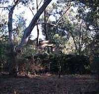 Ghost House Walk Trail Yanchep National Park - Sydney Tourism